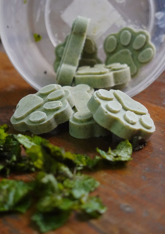 Fresh Breath Treat