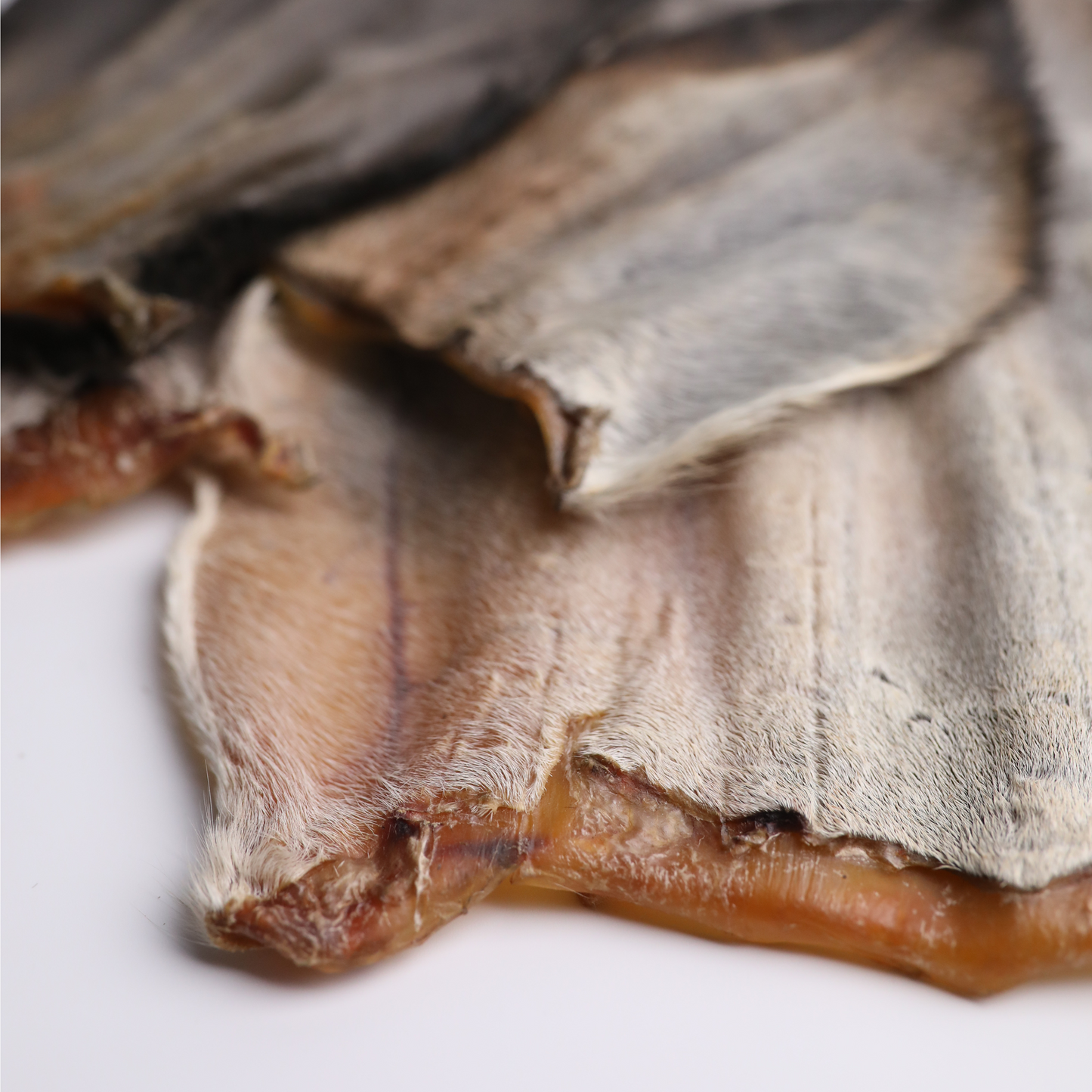 Dehydrated Cow Ear