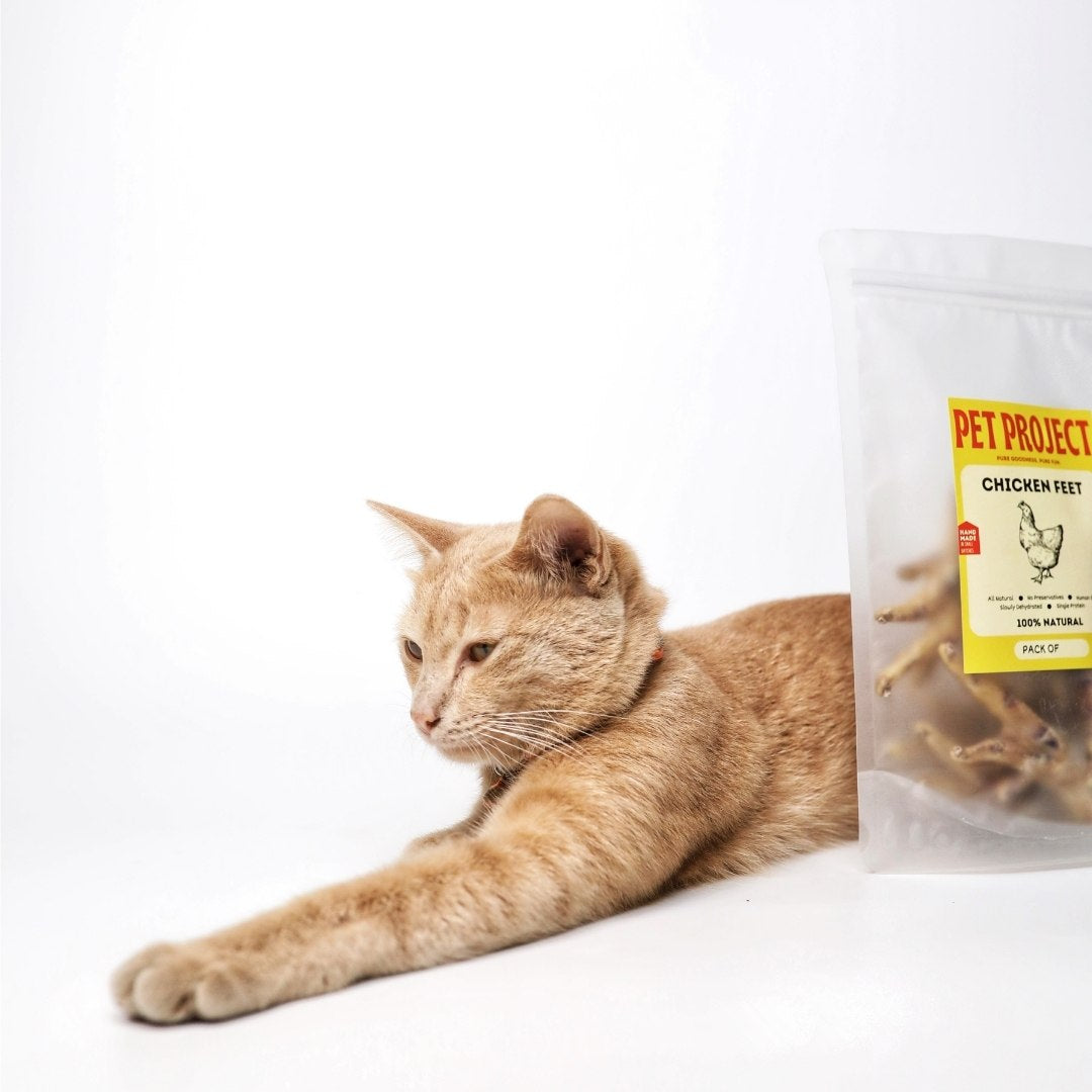 Dehydrated Chicken Feet