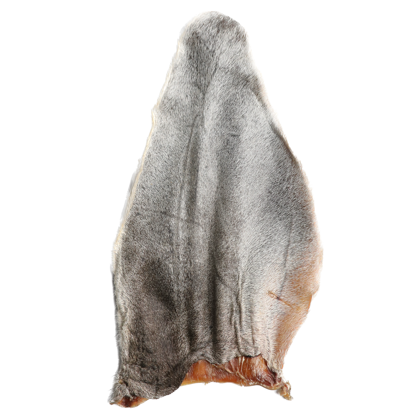 Dehydrated Cow Ear