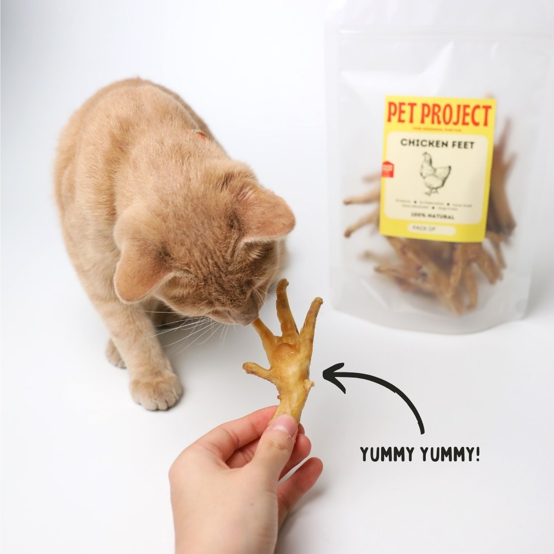 Dehydrated Chicken Feet