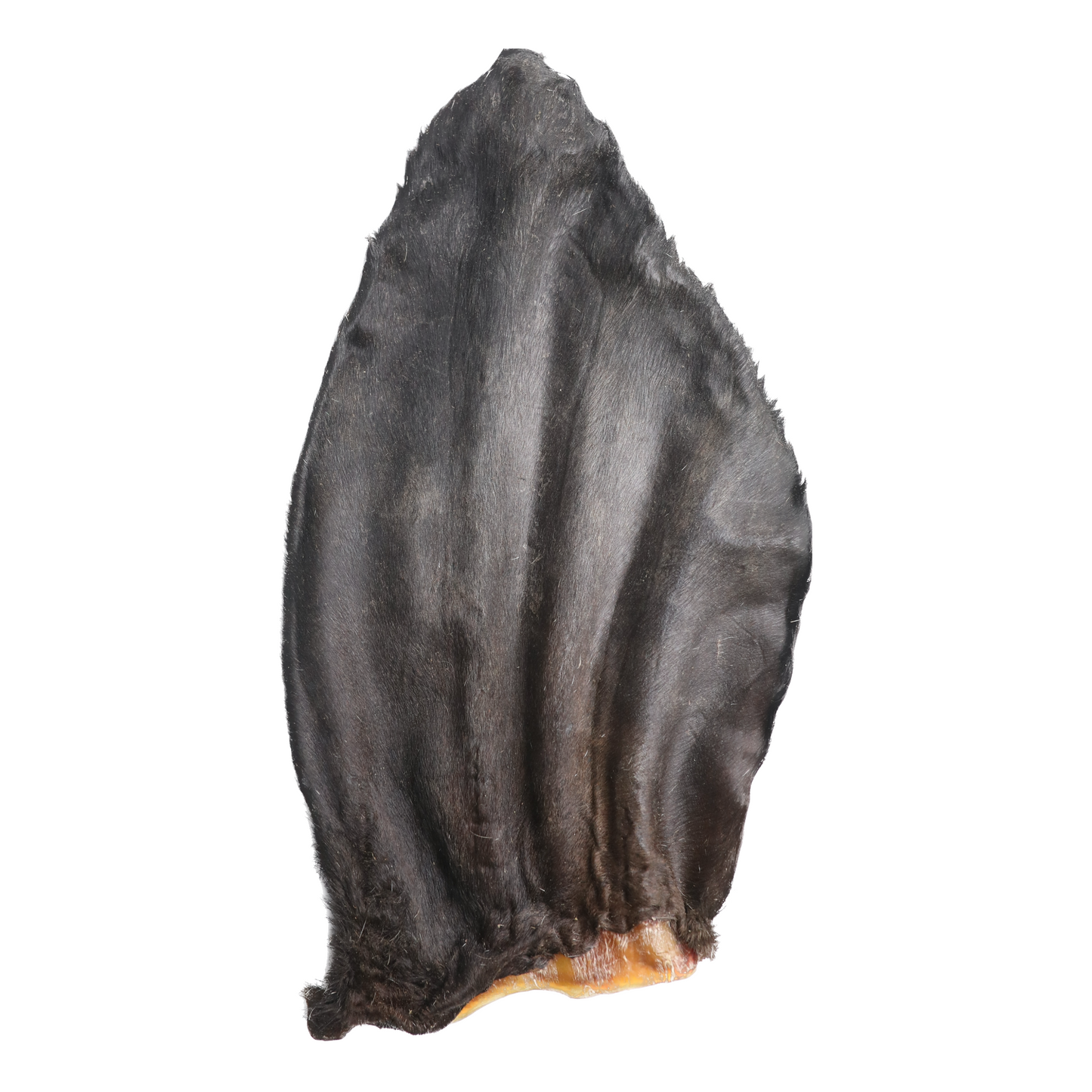 Dehydrated Cow Ear