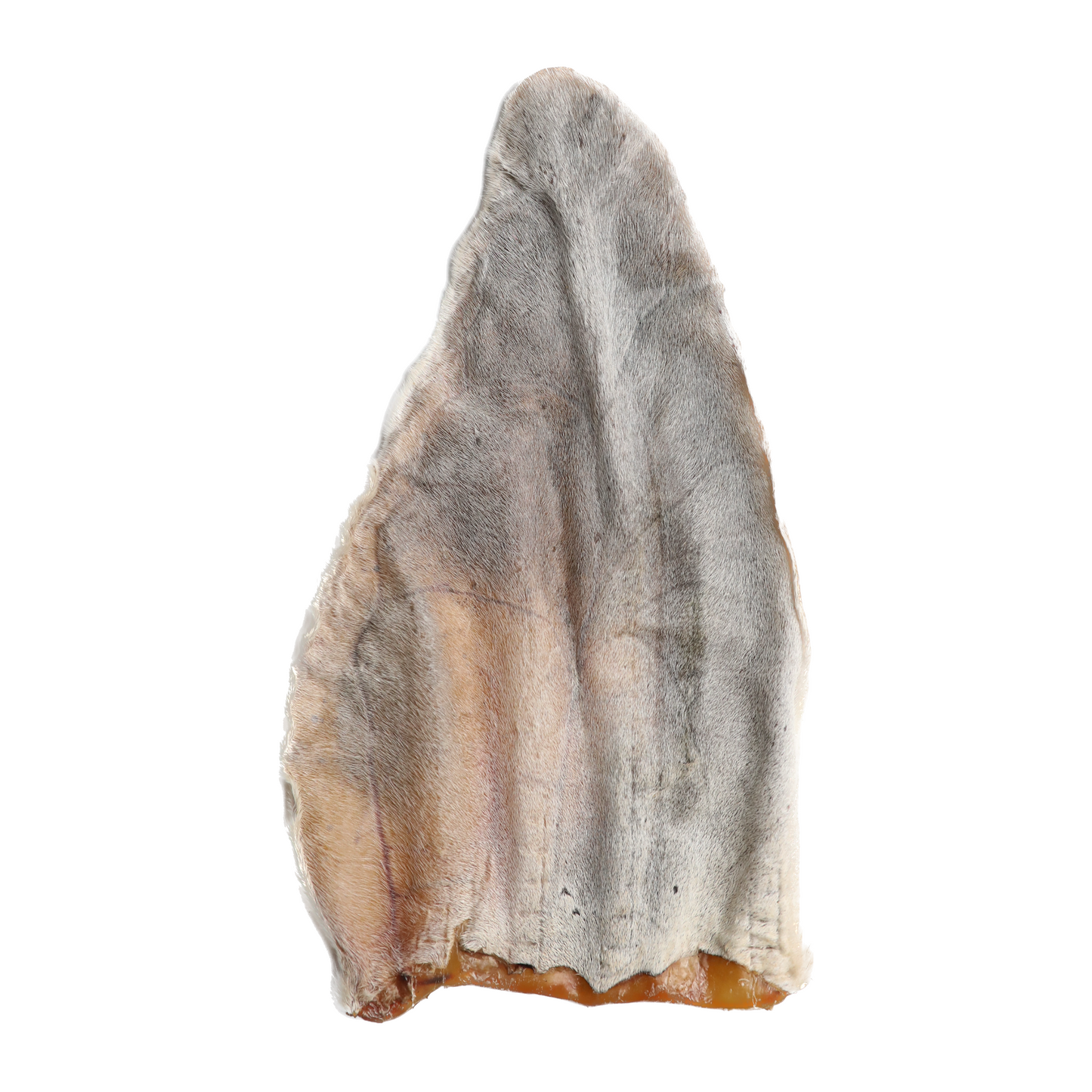 Dehydrated Cow Ear