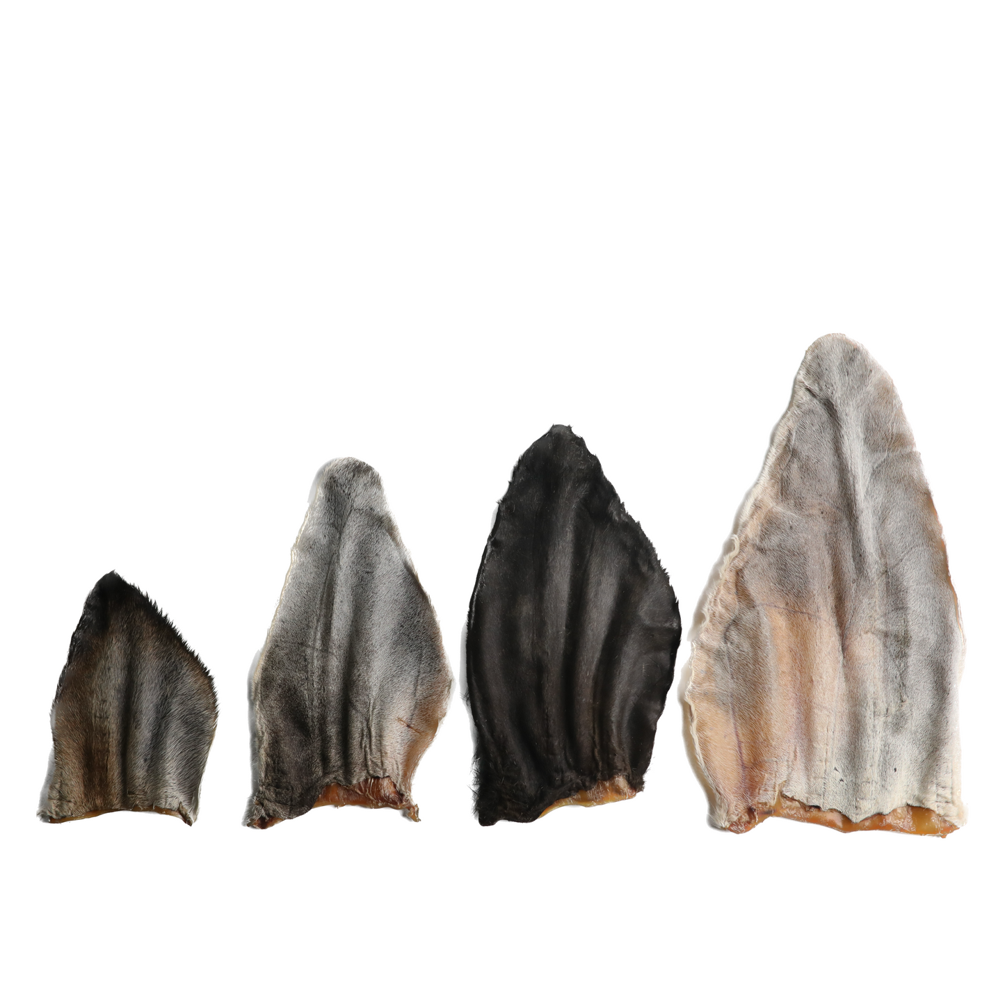 Dehydrated Cow Ear