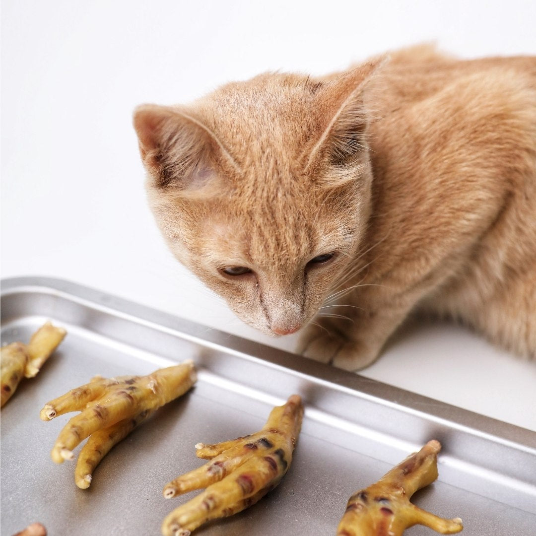 Dehydrated Chicken Feet