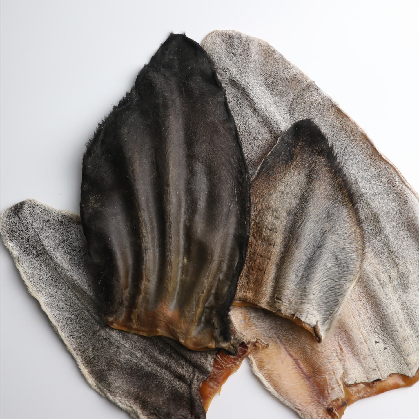 Dehydrated Cow Ear