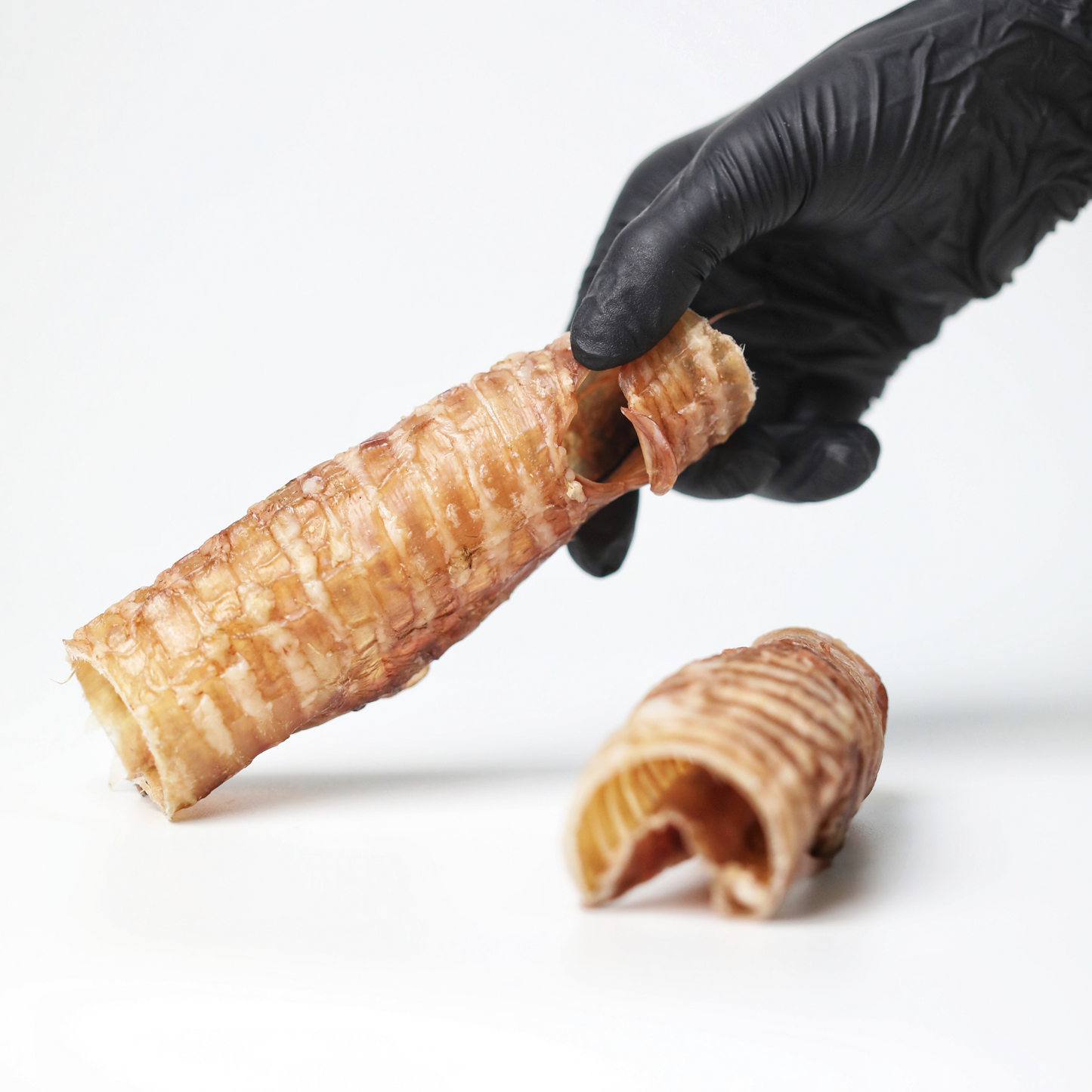 Beef Trachea