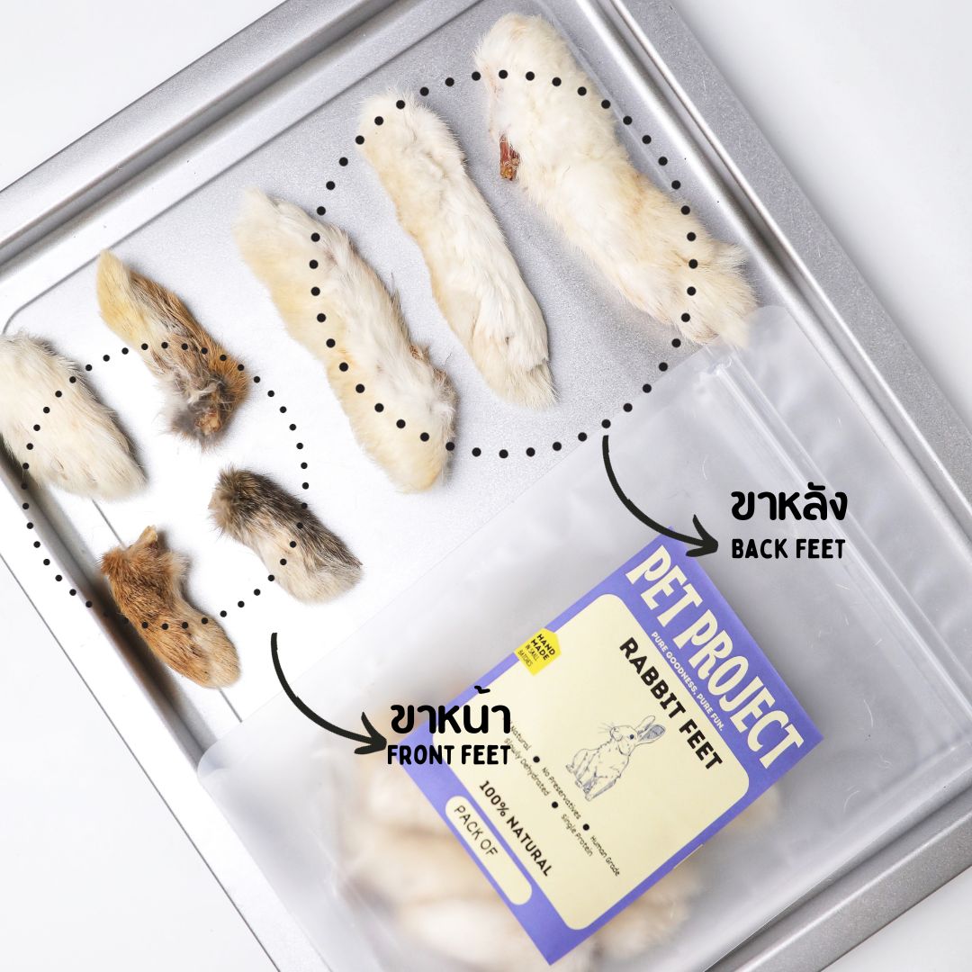 Rabbit Feet