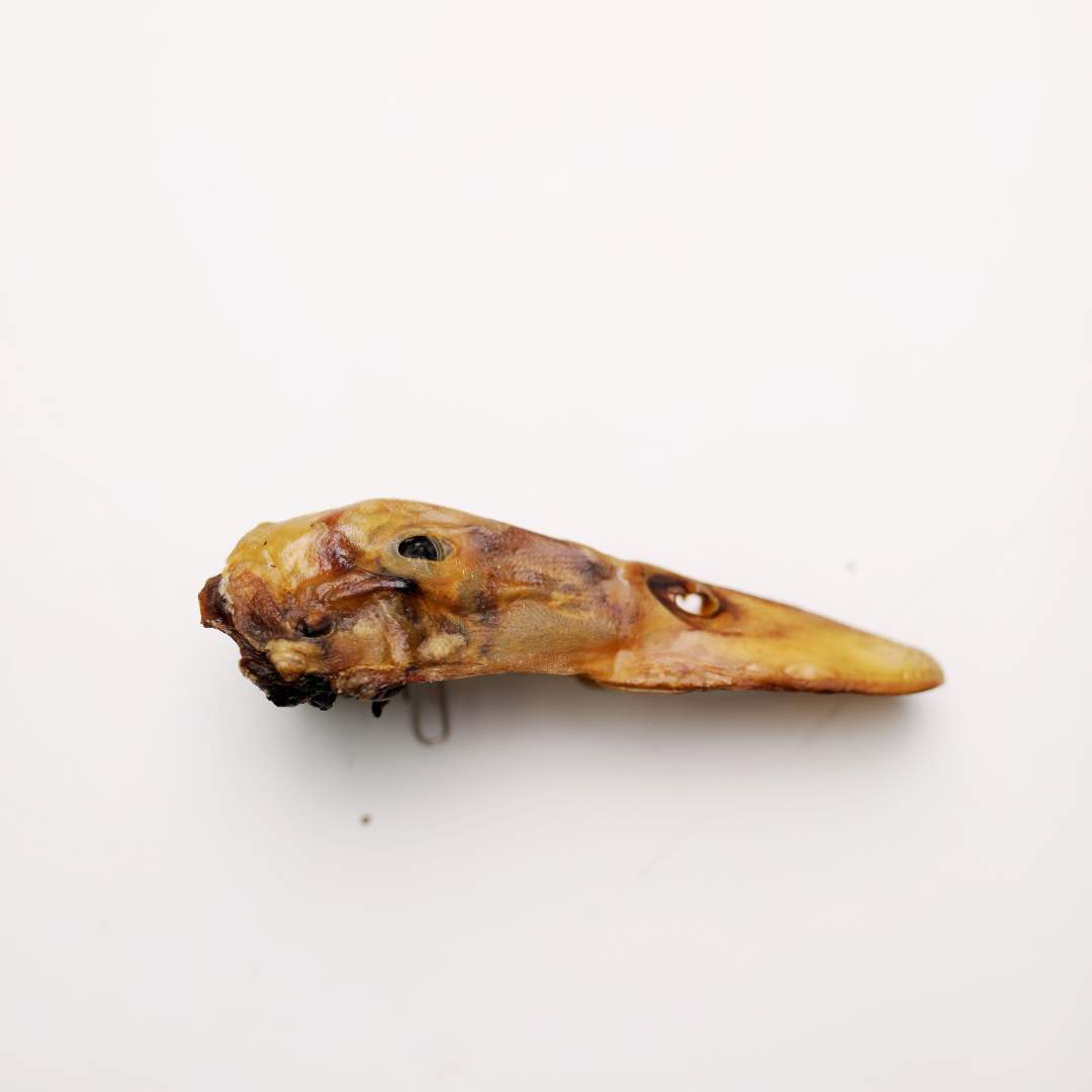Duck Head