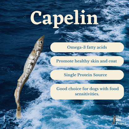 Dehydrated Capelin